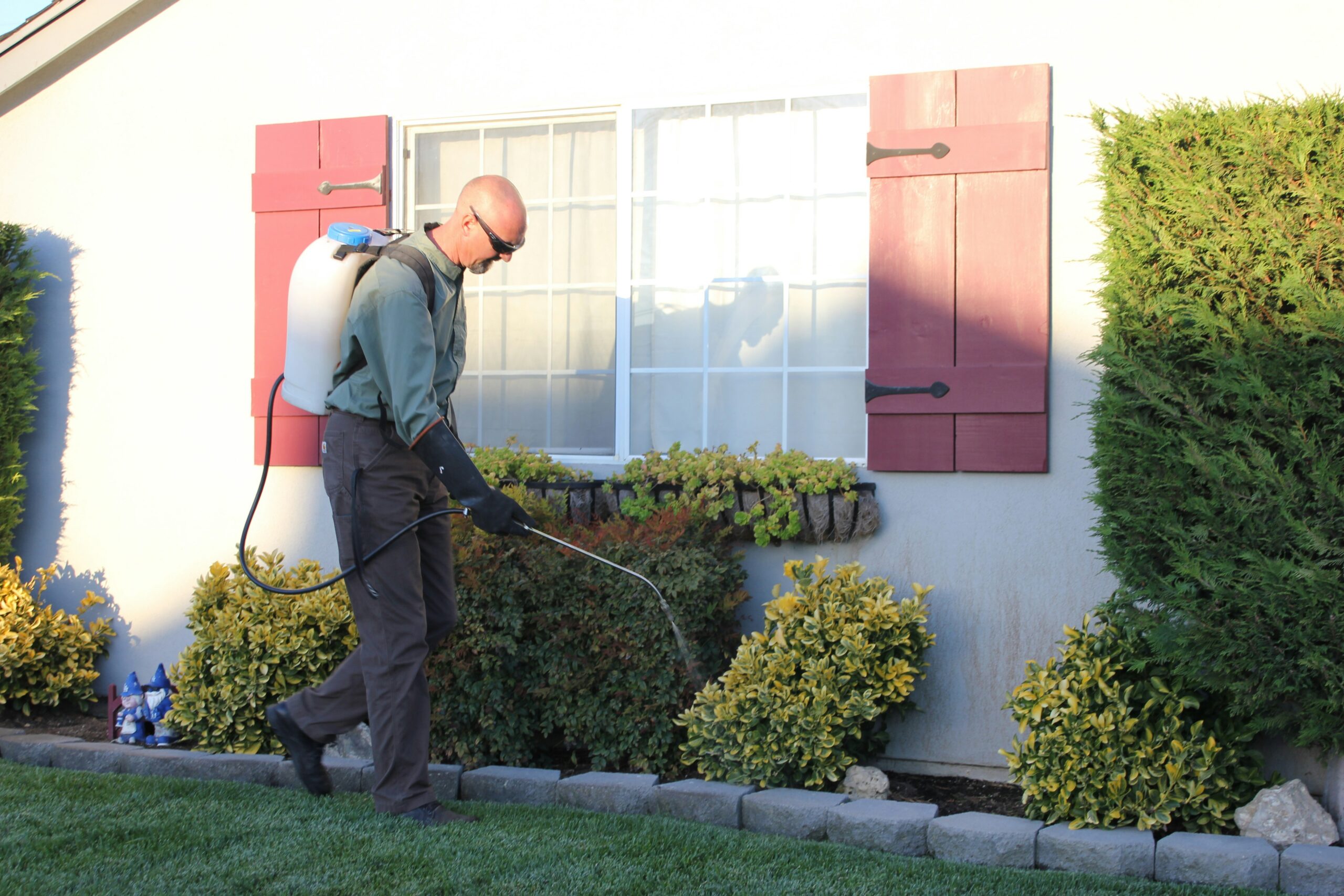 Residential Pest Control